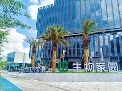 2022深圳大事记|大鹏新区:坝光片区开发建设迈入全面提速新阶段
